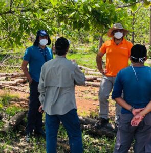 reforestadores