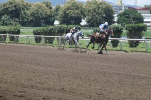 hipodromo_1