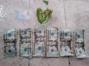 IMG-20200919-WA0114