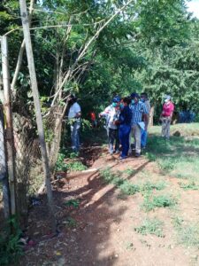 IMG-20201123-WA0016