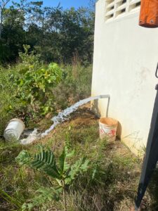 IMG-20210103-WA0273