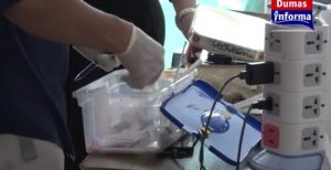 Entrega