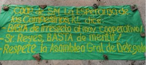 cooperativo