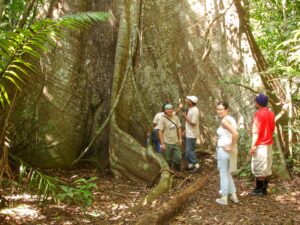 karla and jorge herrera big tree_JAleman