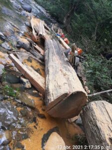 MiAMBIENTE-Panama-Este-retiene-madera-y-motosierra-a-un-ciudadano-en-el-rio-Chuluganti
