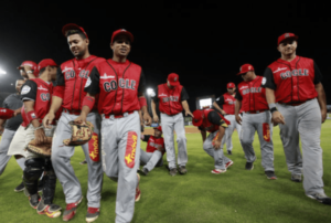 cocle