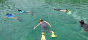 IMG-20210807-WA0304