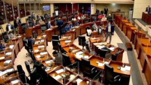el-pleno-la-asamblea-nacional-an