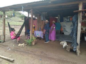 thumbnail_image_6483441 (5)