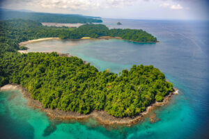 Coiba aréra