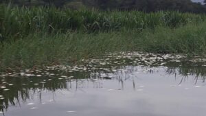 IMG-20210929-WA0252
