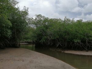 IMG_20210421_151456