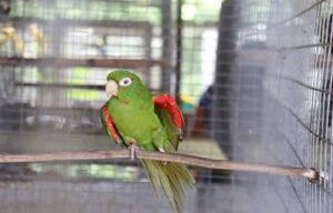 IMG_20210911_151823_010