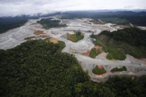 IMG-20211019-WA0003