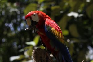 IMG-20220127-WA0061