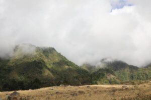 IMG-20220209-WA0117