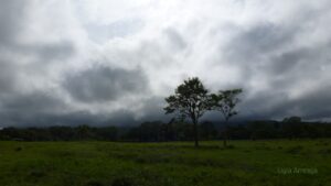 IMG-20220218-WA0102
