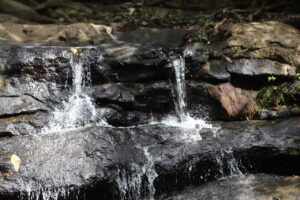 IMG-20220224-WA0129