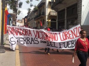 3164583_n_vir1