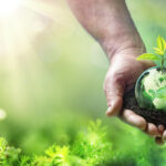 Meduca y Green Earth Solutions promoverán la educación ambiental