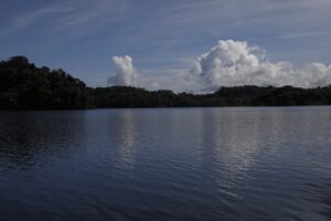 IMG-20220605-WA0008