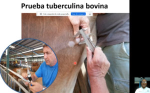 CC TB 8