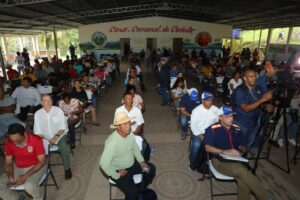 consulta minera 5
