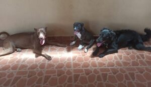 WhatsApp-Image-2021-02-25-at-10.42.00-AM-e1614268073553-1024x591