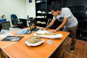 Aldo Benites with fossils in 2017(photo by Jorge Aleman)