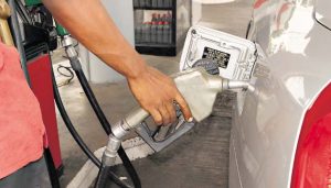 gasolina