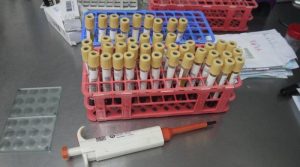 LABORATORIO-CALLE-25-10-800x445