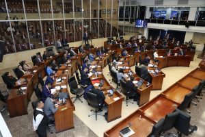 publicacion_313_6