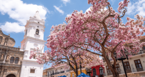 casco-viejo-1536x817