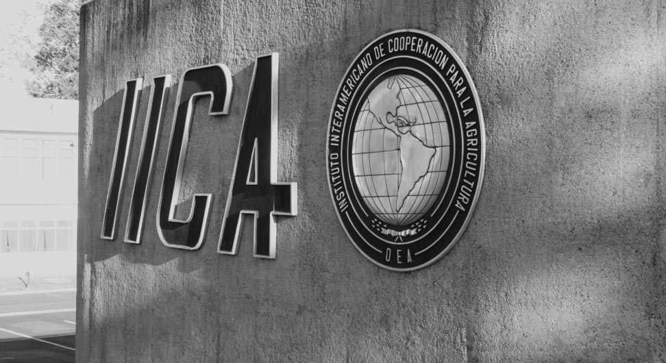 foto-iica