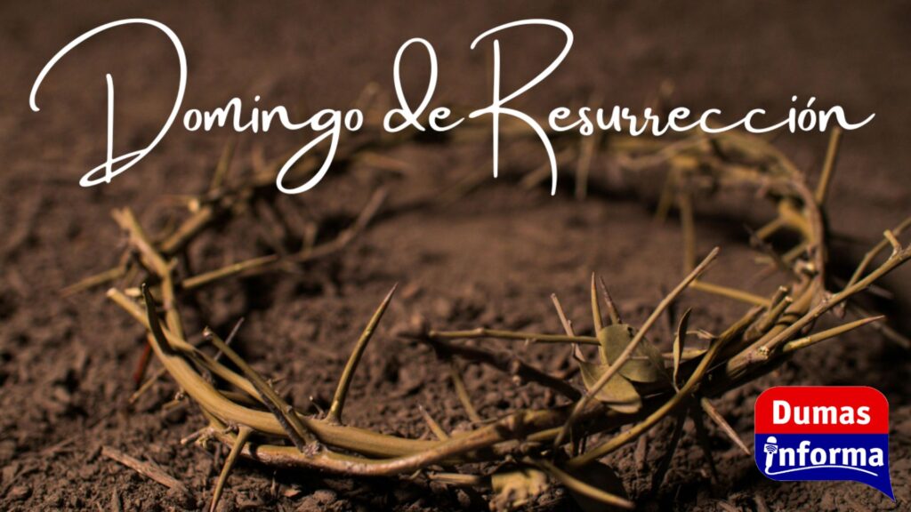 Diseño sin título