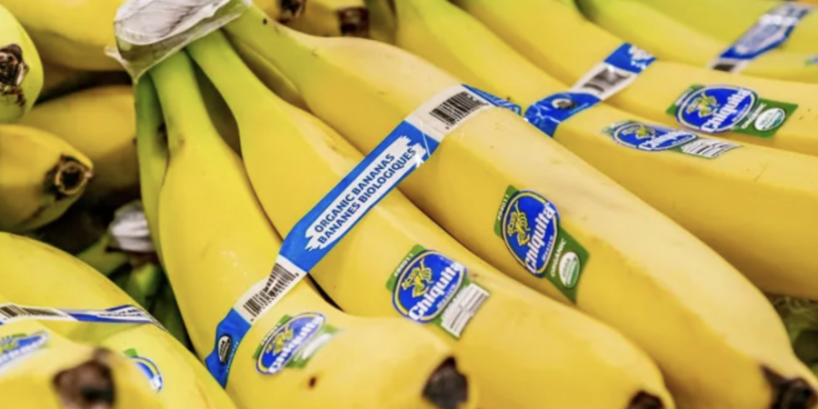 chiquita-900x450