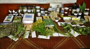 foto-taller-plantas-exposicion-productos-elaborados-por-grupo-del-IAN-e1559038579104-672x372