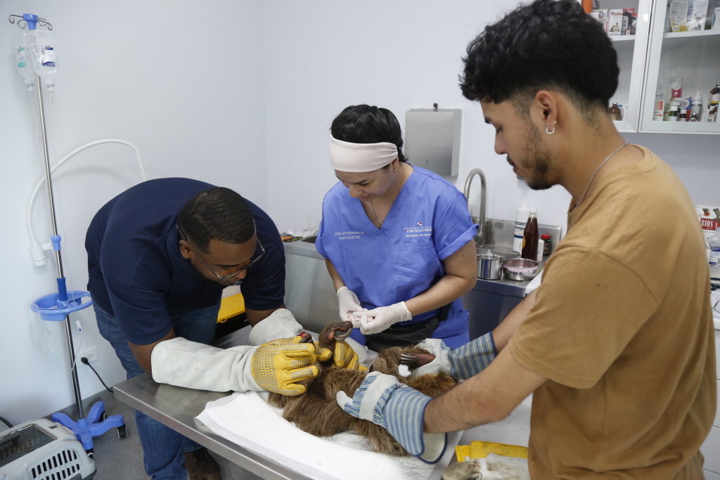 CLINICA VETERINARIA7879