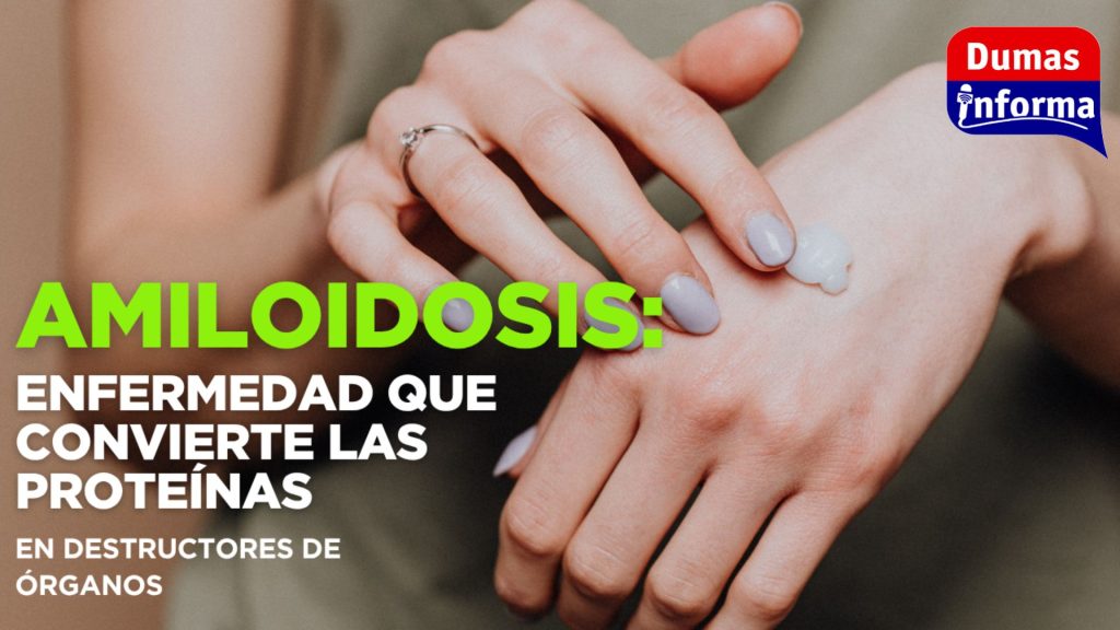 Copia de +