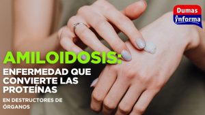 Copia de +
