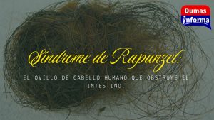 Copia de + (1)
