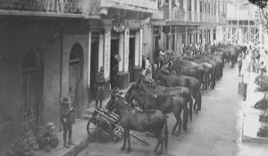 Ejercito-Norteamericano-en-mulas-.Panama-1925-e1728604771910