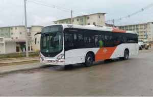 mibus_2.jpeg