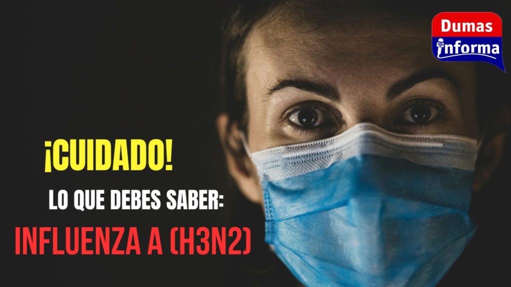Copia de +