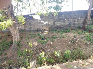 IMG-20260125-WA0105