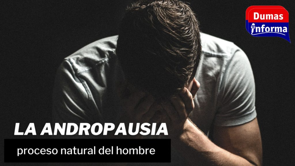 Copia de + (2)