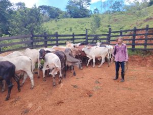 IMG-20260612-WA0086(1)