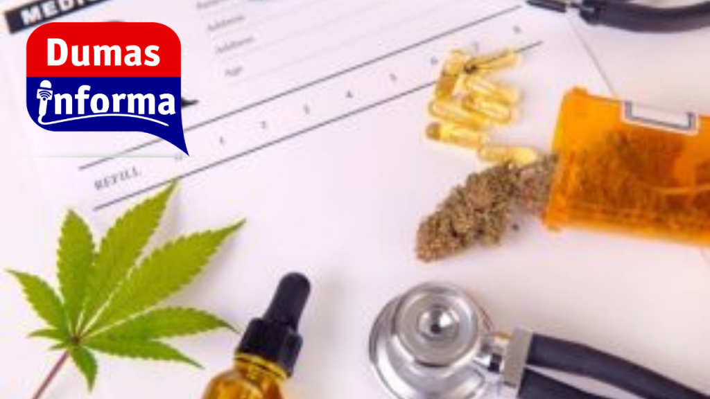 Panamá define la lista de enfermedades aptas para cannabis medicinal (1)