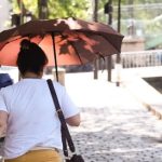 Europa bajo alerta: Ola de calor extremo deja víctimas en los Países Bajos
