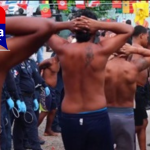 Golpes al narcotráfico en prisiones: ¿quién dejó pasar la mercancía?